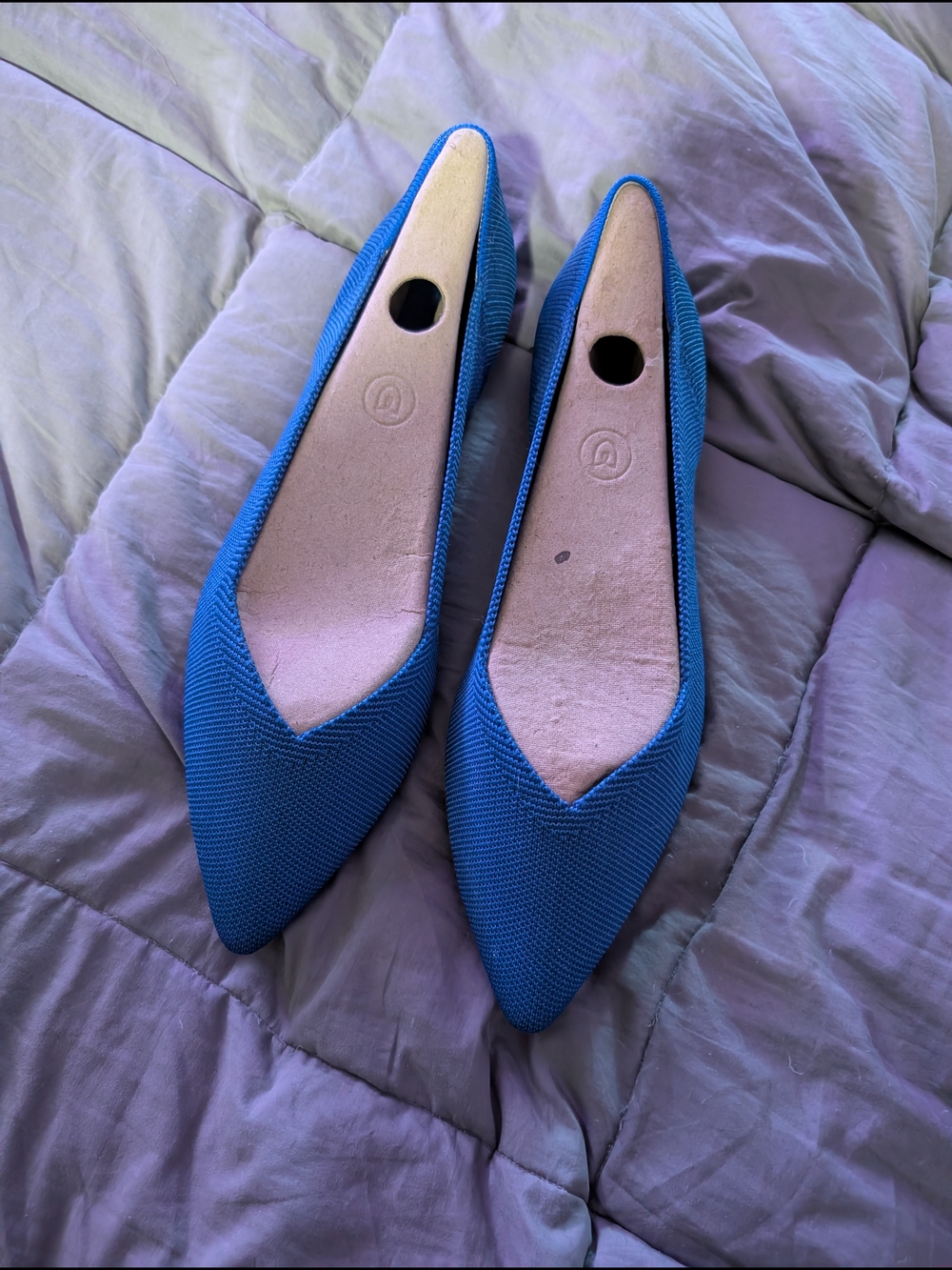 Rothy's Electric Blue Pointed Toe Flats